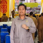 Riri Fardhani, Anggota DPRD Kabupaten Barito Selatan