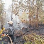 Foto: Petugas gabungan bekerja melakukan pemadaman dan pembasahan lahan terdampak Karhutla.